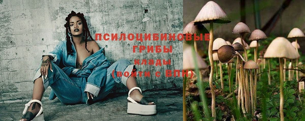 Альфа ПВП Абдулино