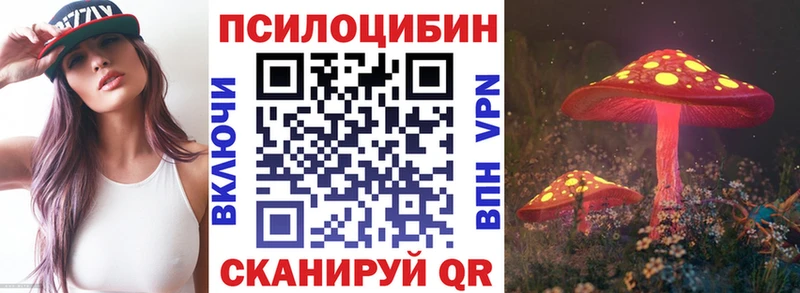 Псилоцибиновые грибы GOLDEN TEACHER  ОМГ ОМГ онион  это какой сайт  Тарко-Сале 